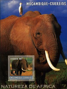 Elephant Stamp African Fauna Nature Bird Souvenir Sheet Mint NH