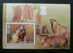 *FREE SHIP Mongolia Fauna 2000 Wildlife Animals (miniature sheet) MNH