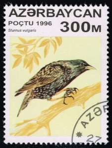 Azerbaijan #595 Starling; CTO