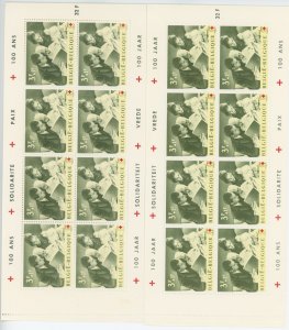 Belgium B745a mint sheets both language types with folders (2110 224)