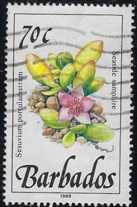 Barbados 763 Used 1989 issue (102)(ad4470)