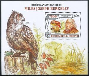 BURUNDI 2013 SHEET bur13202b BERKELEY MUSHROOMS OWLS BIRDS 