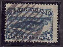 Newfoundland-Sc#55- id11-used 5c bright blue seal-1894-