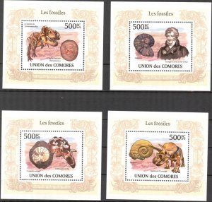 {316} Comoros 2010 Fossils Shells 4 S/S Deluxe MNH**