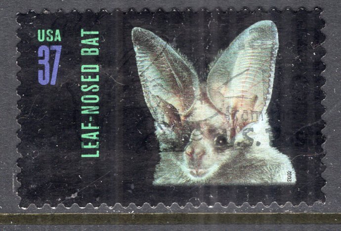 US 3662 Bat Used VF