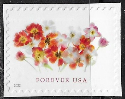 US ~ Scott # 5681 ~ Used on paper ~ Tulips - Uncancelled