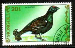 Bird, Black Grouse, Mongolia stamp SC#1965 used