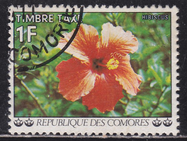 Comoro Islands J6 Flowers 1977