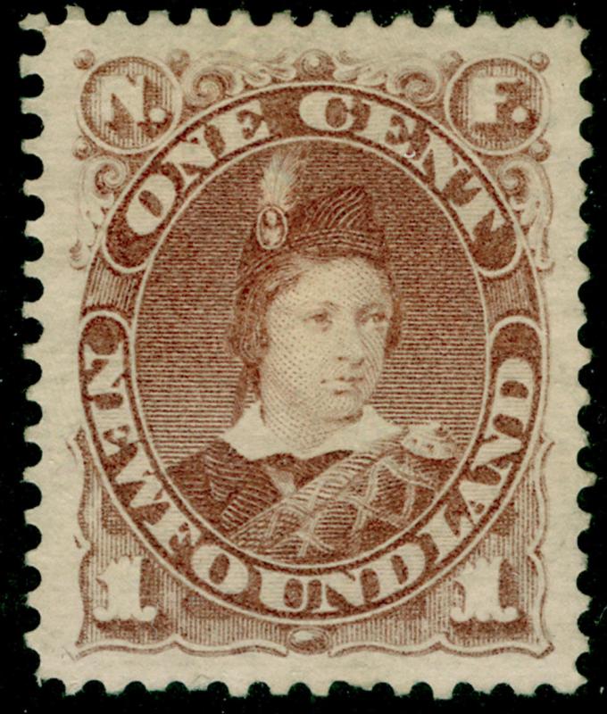 CANADA - Newfoundland SG44a, 1c dull brown, UNUSED. Cat £48.