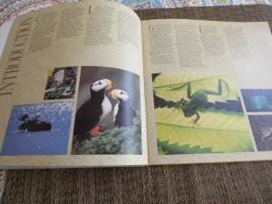 JOINT SIX POSTAL ADMINS IN FOLDER OUR WORLD