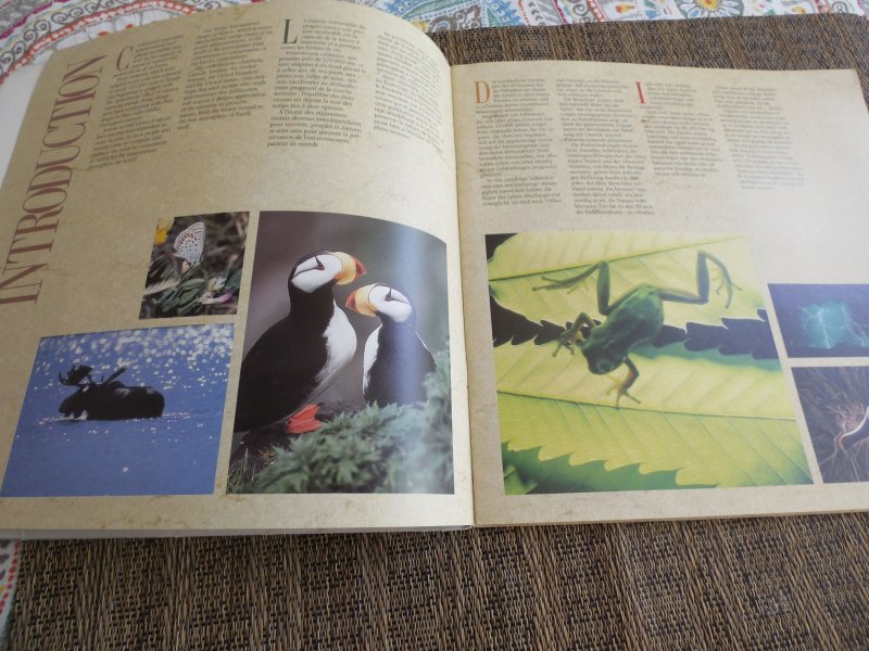 JOINT SIX POSTAL ADMINS IN FOLDER OUR WORLD