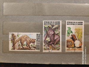 1983	Cameroon	animals (F7)