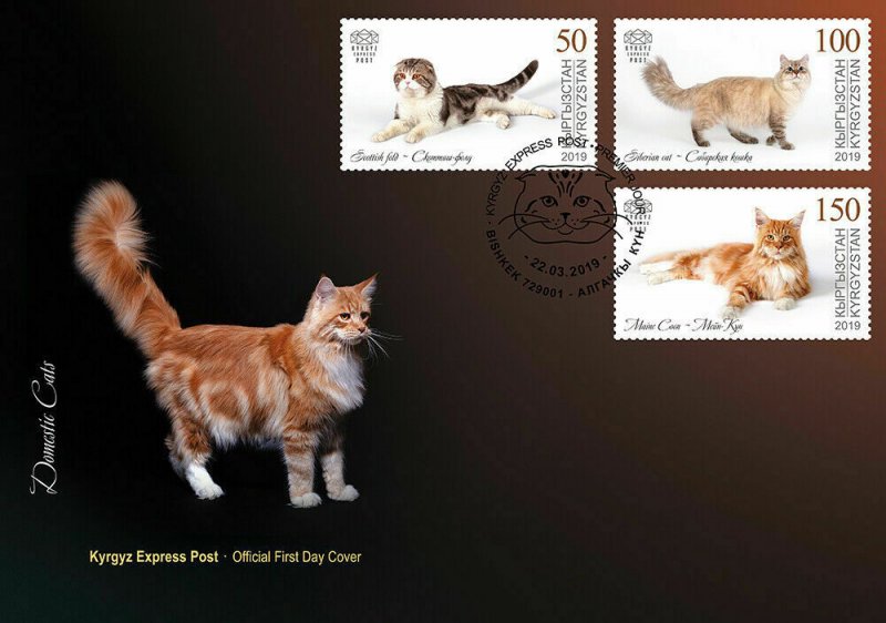 KYRGYZSTAN (KEP) / 2019 - (FDC1) Domestic Cats (Scottish fold), MNH 