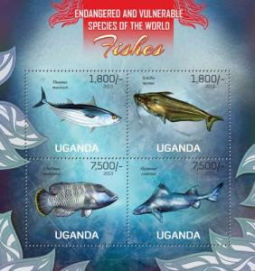 UGANDA 2013 SHEET FISHES MARINE LIFE ugn13111a