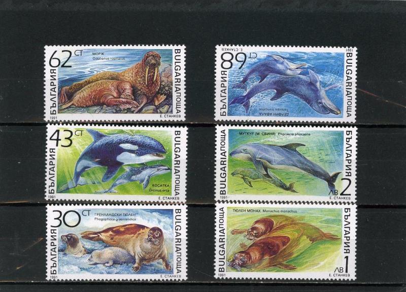 BULGARIA 1991 Sc#3665-3670 MARINE MAMMALS SET OF 6 STAMPS MNH 