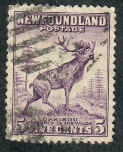 Newfoundland #257 used single - perf 12.5