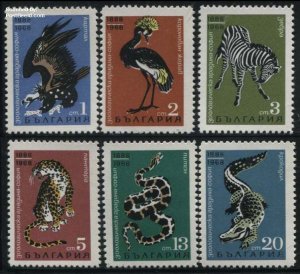 Bulgaria 1968, Sofia zoo 6v, MNH
