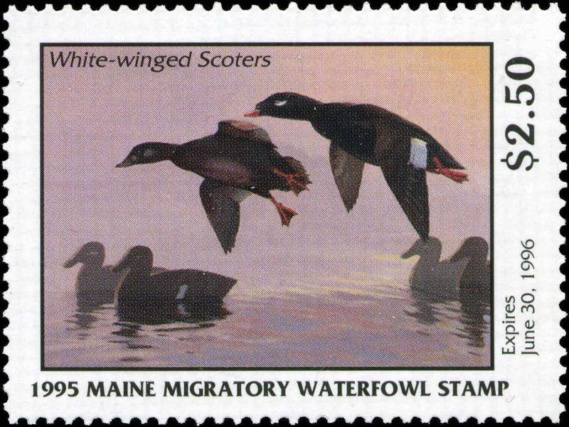 MAINE #12 1995 STATE DUCK STAMP WHITE WINGED SCOTER  by Richard Alley