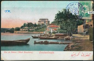 64329 TURKEY Ottoman Empire POSTAL HISTORY: KADIKOY postmark on card to FRANCE-