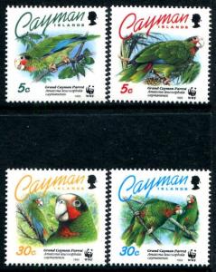 Kaimaninseln 668-671, MNH, Vögel Grand Cayman Papageien 1993 Wwf. x11084