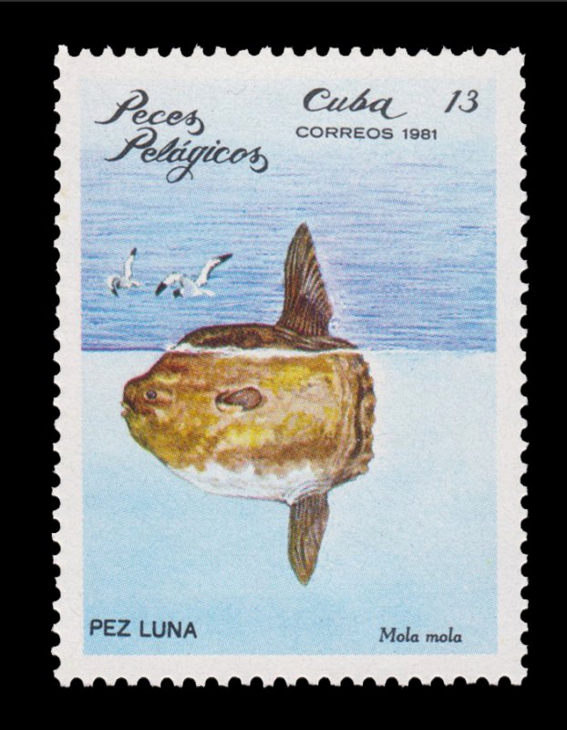 LATIN AMERICA STAMP 1981  SCOTT # 2388 UNUSED.  MARINE LIFE