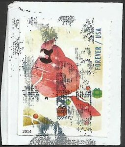 # 4939 Used Winter Fun Cardinal