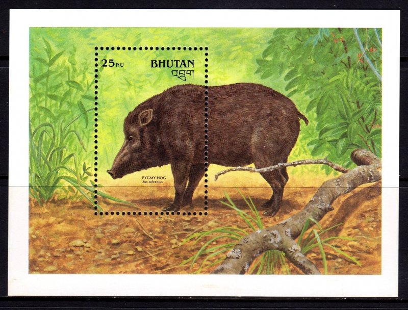 Bhutan 1990 Endangered Wildlife - Pygmy Hog Mint MNH Miniature Sheet SC 939