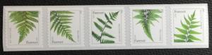 US #4973a-4977a MNH Coil Strip of 5 Ferns SCV $5.00