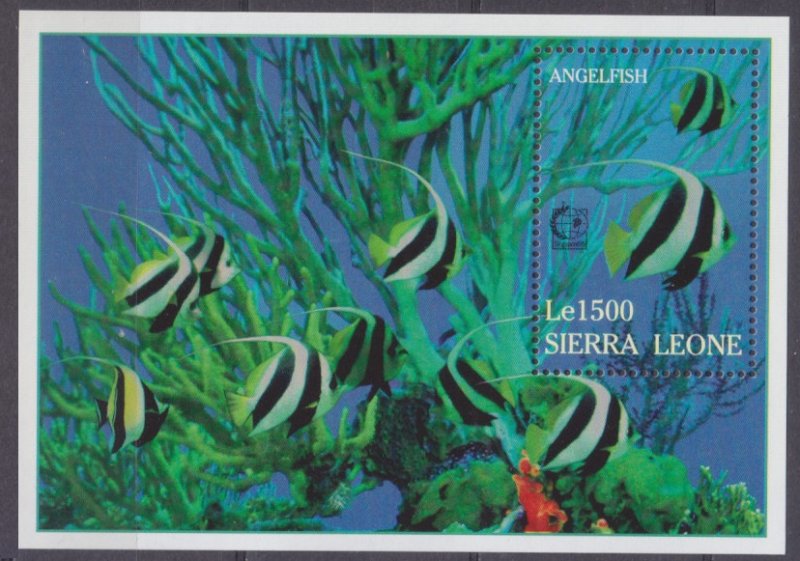 1995 Sierra Leone 2401/B277 Sea fauna 6,50 €