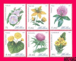 MOLDOVA 2024 Flora Plants Wild Flowers 6v MNH