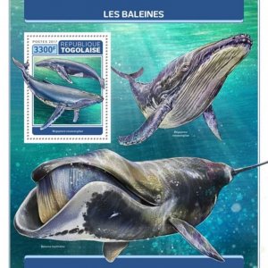 Togo - 2017 Whales on Stamps - Stamp Souvenir Sheet - TG17305b