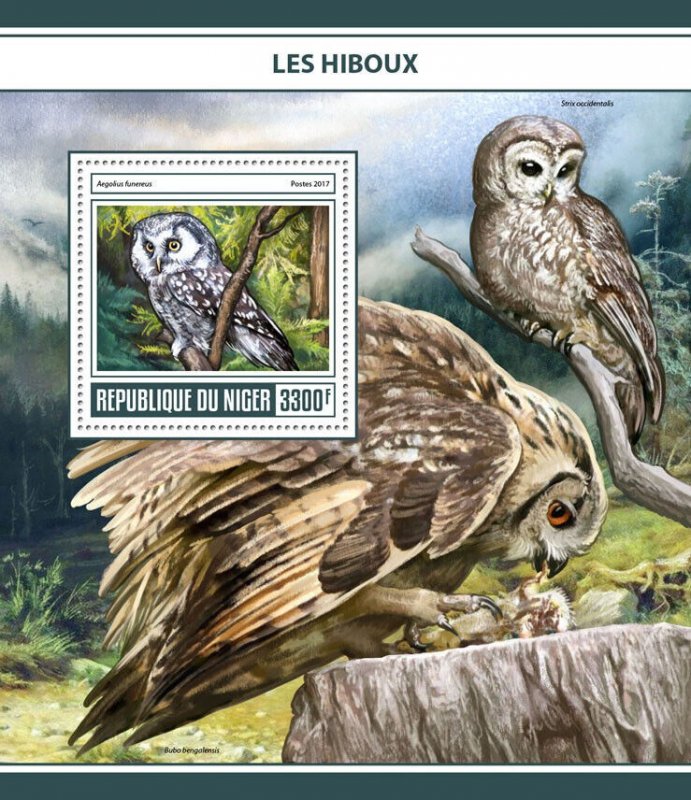 Owls Stamps Niger 2017 MNH Birds of Prey Boreal Owl 1v S/S