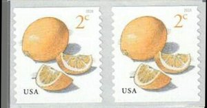 Meyer Lemons 2 Cent Postage Stamps One Pack of Ten Postage Stamps Scott 5256