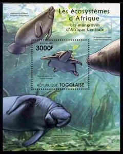 Togo 2011 Ecosystem of Africa - Animals of the Central Ma...