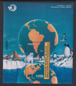 Chile 865a Souvenir Sheet MNH VF