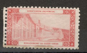 POSTER STAMP - SANATORIUM PROVINCIAL - perf.  8½  