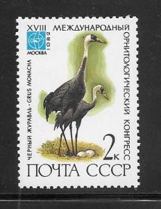 Russia #5050 MNH Single.