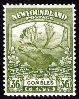 118, NSSC, Newfoundland, 24c bistre, MLHOG, F, Cambrai, Trail of the Caribou