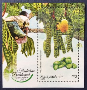 Malaysia 2018 Medicinal Plants 4th Series MS MNH