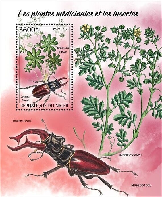 2024 03 - NIGER - MEDICAL PLANTS & INSECTS            1V  complet set    MNH **