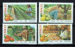South Africa Ciskei 123-126 MNH Agriculture Farming Fruit ZAYIX 0424S0056M