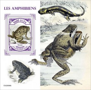 Central Africa - 2022 Amphibians, Suriname Toad - Stamp Souvenir Sheet CA220306b