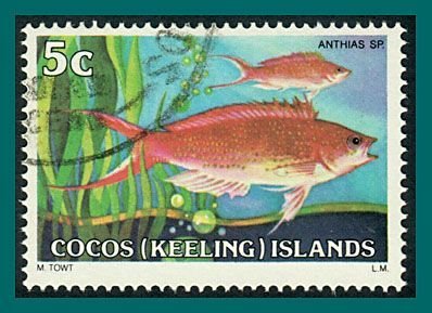 Cocos 1979 Fish 1,  5c used  #36,SG36