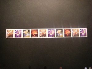 Scott 3462-65 or 3465a, 34c Flowers, PNC10 #B1111, MNH Coil Beauty