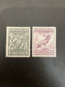 Newfoundland sc 253,257 MH