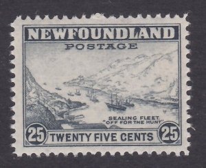 NEWFOUNDLAND 1941-44 25c perf 12½ SG228 fresh MNH..........................A3963