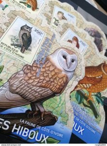 Lx287 Imperf !!! Silver 2014 Ivory Coast Owls Birds #1549-2 Uv Cardboard 4Bl Mnh