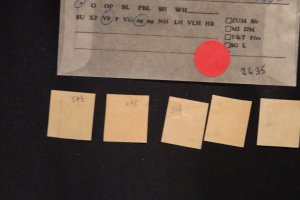 US 343-347 VF mint (#2635)