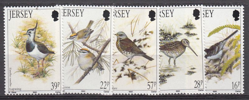 Jersey 1992 Winter Birds NHM