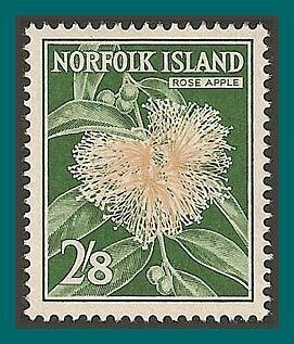 Norfolk Island 1962 Rose Apple Flower, MNH #39,SG34